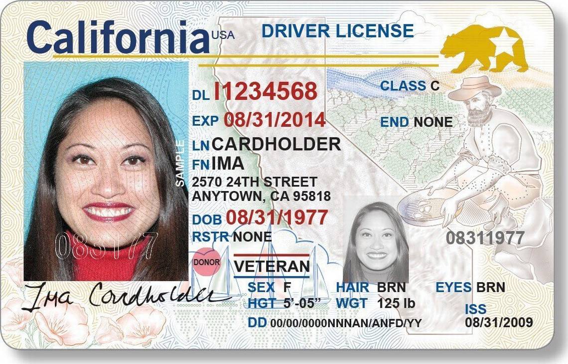 You are currently viewing DMV Drivers License Renewal