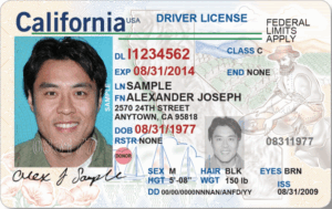 Read more about the article Drivers License Ca
