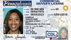 Read more about the article Drivers License Center