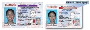 Read more about the article Illinois Drivers License