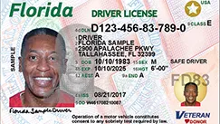 Read more about the article Lost Florida Drivers License