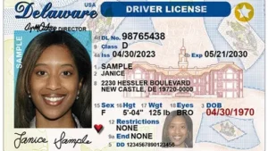 Read more about the article Ohio Drivers License
