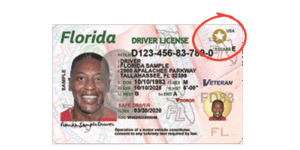 Read more about the article Renew Drivers License Florida