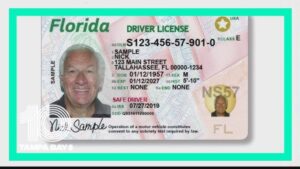 Read more about the article Renew Florida Drivers License