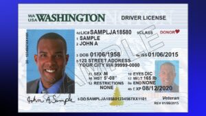 Read more about the article Washington Drivers License