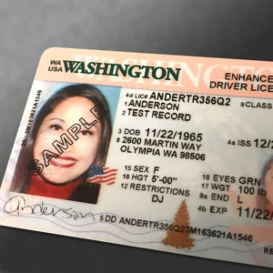 Read more about the article Washington Drivers License Renewal