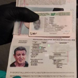 Read more about the article Europol German Id Card Misused