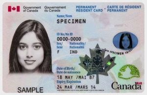 Read more about the article Canadian Pr Card