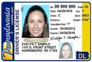 Read more about the article Cdl Renewal Pa