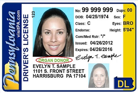You are currently viewing Cdl Renewal Pa
