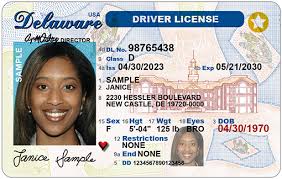 Read more about the article Driver’s License