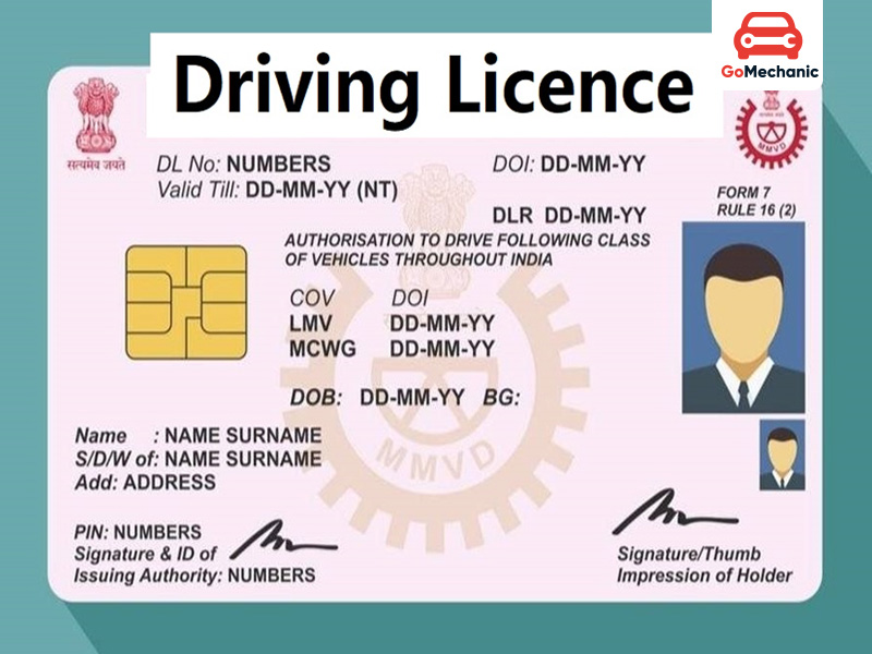 You are currently viewing Drivers License Requirements