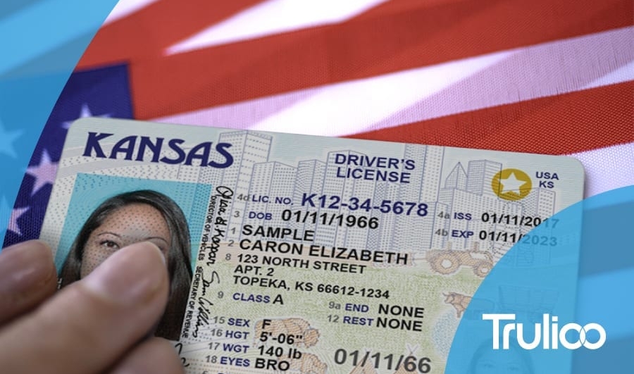 You are currently viewing Original Usa Id Card
