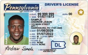 Read more about the article Pa Drivers License Renewal Online