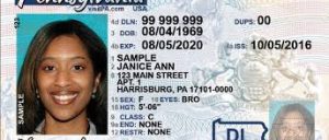 Read more about the article Pa Driving License Renewal