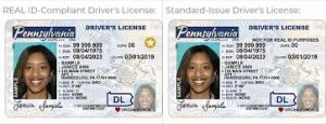 Read more about the article Pa Id Renewal