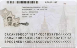 Read more about the article Permanent Residency Card Canada