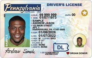You are currently viewing Update Pa Drivers License